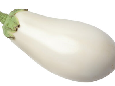 aubergine blanche